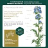 Dr Giorgini Integratore Alimentare, Centella Asiatica Estratto Integrale Liquido Analcoolico