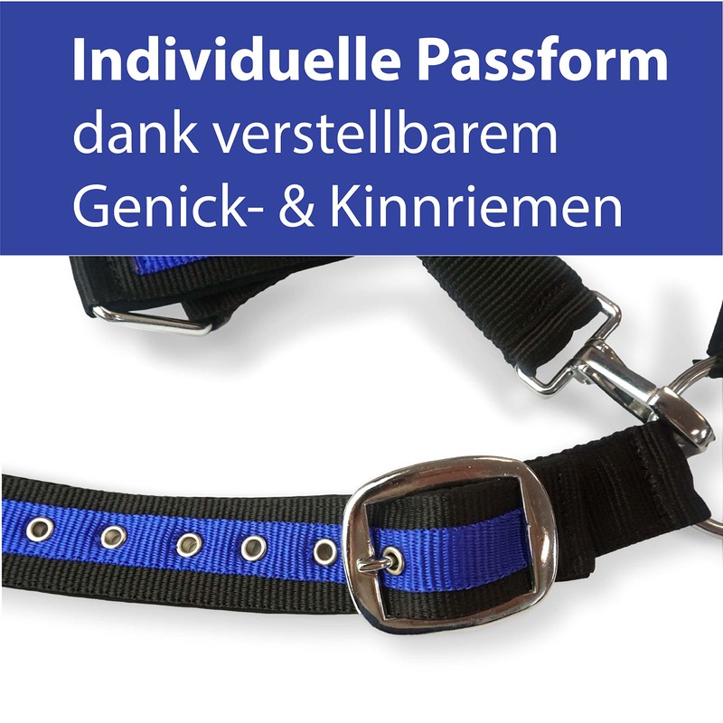 Halter for Horses Coldblood | Halter XXfull, Stable Halter Adjustable