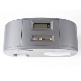 Money Bank with Key Digital Counter Kids Animal Nordic Decor Money Bank Lala