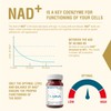 Endotelio 1-MNA PRO, Anti Aging, Optimizing NAD+, Double Dose for