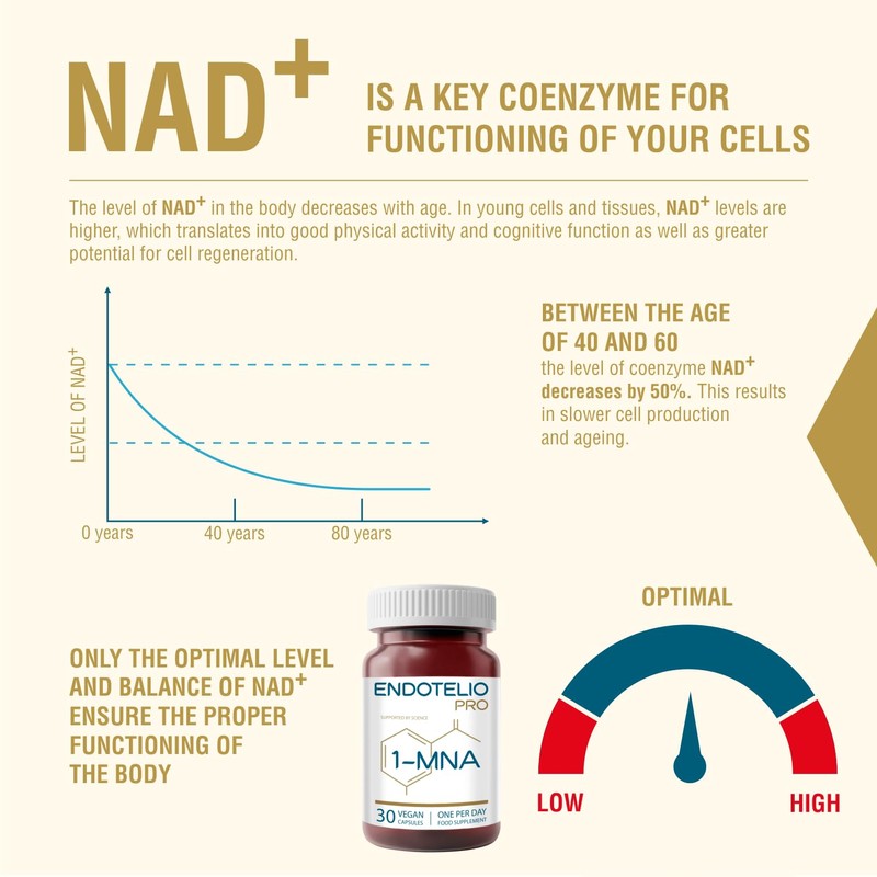 Endotelio 1-MNA PRO, Anti Aging, Optimizing NAD+, Double Dose for