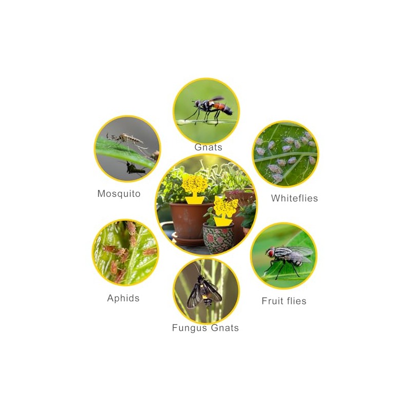 100 Pack Yellow Sticky Fly Traps for Indoor and Outdoor
