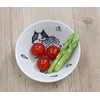 Mino Ware, Cat Plate, More Cats, Maruke Stacolasassa, Warping Type,