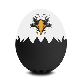 Eagle BeepEgg – Egg Timer for Boiling Eggs – Musical Egg Cooker for Soft, Medium, Hard Boiled Eggs – Food Safe – Singing Floating Egg Timer – Egg Cooker for 3 Levels of Doneness - Brainstream