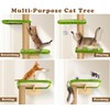 Floor to Ceiling Cat Tree for Kittens, Wall Mounted Cat