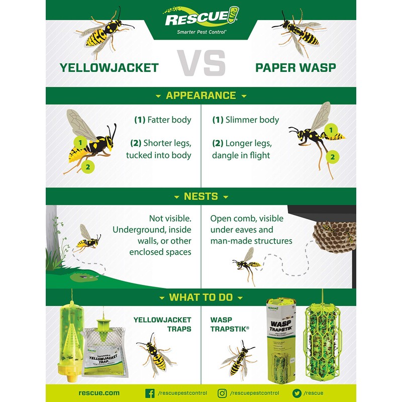 RESCUE! Reusable Yellowjacket Trap – Includes Attractant
