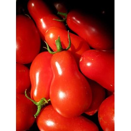 100PCS Red Pear Cherry Tomato Seeds Garden Vegetable Seeds