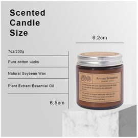 Tea Scented Candle & Haute Sense Fragrance & Home Bedroom & Sleep Cozy Ambiance & Ritual Date Gift & Candlelight Dinner (Westin White Tea)