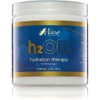The Mane Choice H2Oh! Hydration Therapy Hair Masque 8 Oz