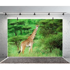 AOFOTO 7x5ft Safari Giraffe in Nature Reserve Backdrop African Wildlife Forest Park Photography Background Green Jungle Bush Outdoor Travel Kid Adult Artistic Portrait Photo Studio Props Wallpaper