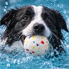 High Elasticity Dog Ball for Chewing & Play – Solid