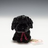 Candy Fontaine Pug Black