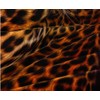 Holiyjog Cheetah Print Bedding Leopard Quilt Cover Sets Brown Linens