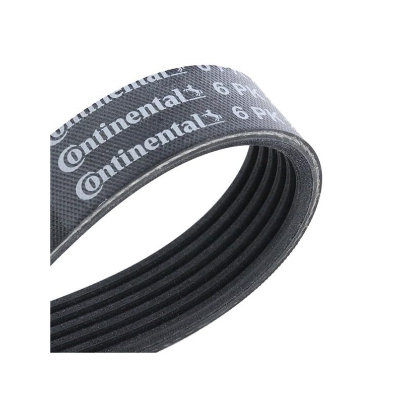 CONTITECH 6PK2225 V-Ribbed Belt