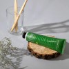 Pasta De Dientes Con Clorofila - Organic Detox 6pack
