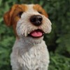 Vivid Arts - Wire Hair Jack Russell - Indoor Outdoor