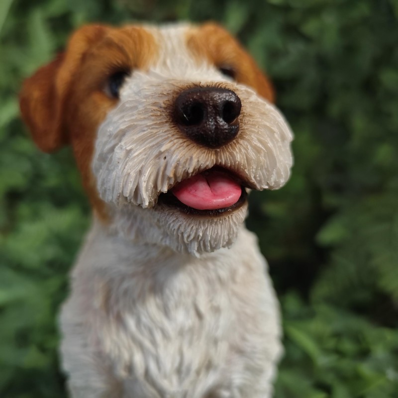 Vivid Arts - Wire Hair Jack Russell - Indoor Outdoor