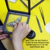 Insect Taxidermy Tools Butterfly Insect Taxidermy Tools Spreading Wing Board