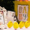 BESPORTBLE 36Pcs Mini Easter Chicks, Yellow Easter Chicks Cute Fully