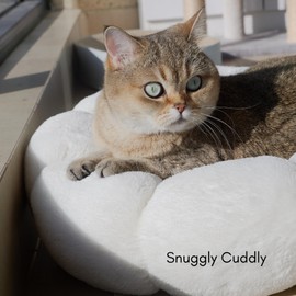 petfelix Cat Beds for Indoor Cats, Machine Washable Non-Skid, Fluffy Flower Cat Bed Cute, Anti Anxiety Dog Beds for Toy Size Dogs, 20 * 20 Inches, Cream