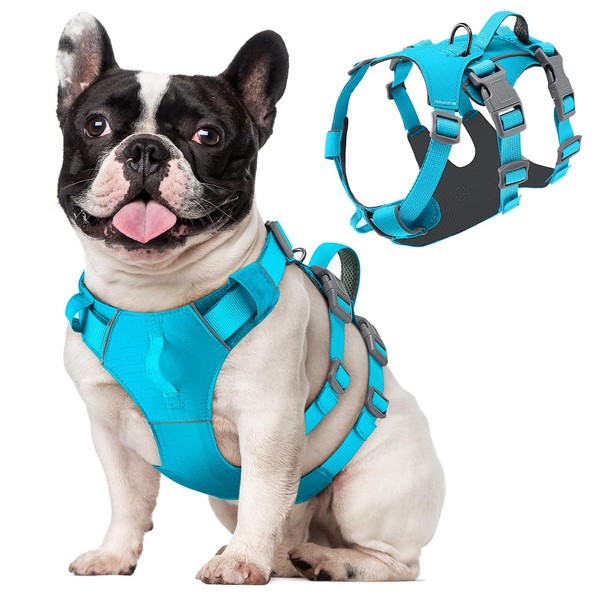 Eyein Dog Harness Small Dog - Lightweight Escape Proof Dog