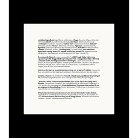 RAINBO 11:11 Multi-Mushroom Tincture 100 mL