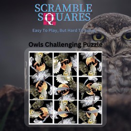 B Dazzle Owls Scramble Squares 9 Piece Puzzle