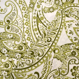 Pointehaven 2 Piece Bedding Duvet Set with Button Closure 200 Thread Count 100% Combed Cotton Boho Paisley Green Printed Duvet Set with Tie-Backs All Season Twin