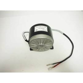 Razor Motor w/ Screws 250W (Crazy Cart and Crazy Cart DLX)