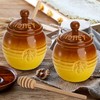 Hiceeden 2 Pack Ceramic Honey Pot with Dipper and Lid,