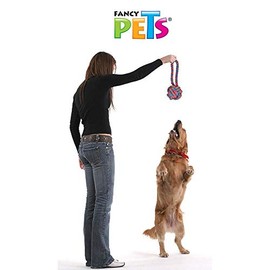 Fancy Pets Juguete de SOGA con Pelota de Hilo para Perro de 23 Centímetros