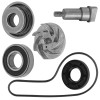 Caltric Water Pump Impeller With Shaft & Gasket For Polaris