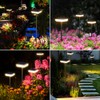 Ainostone Solar Lights Outdoor Pathway 8 Pack IP65 Waterproof 31"
