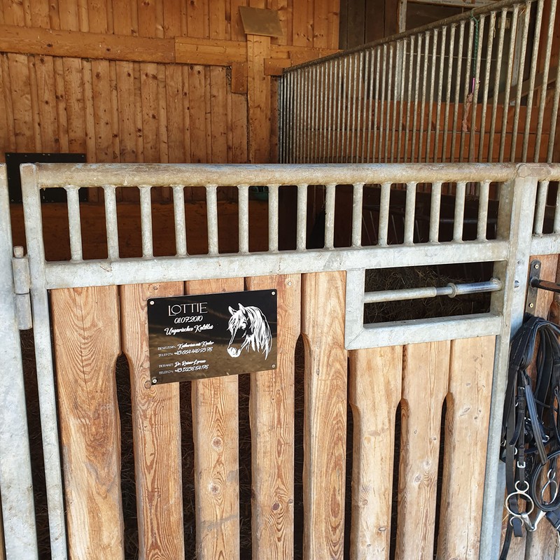 generisch Stable Board, Boxing Sign, Horse Sign, 29 x 19