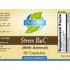 Priority One Vitamins Stress B & C 60 Capsules -