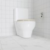 Toilet Seat Round,Toilet Seat with Quick-Release And Quick-Attach, Plastic Toilet