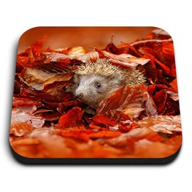 1 x Square MDF Fridge Magnet - Adorable Hedgehog Garden Wildlife 8852