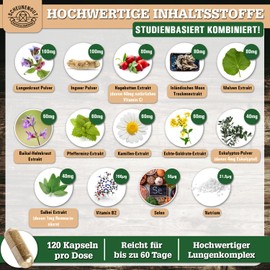 Scheunengut LUNGENKRAFT® Lungenkraut Kapseln Stark - WICHTIG: Laborgeprüfter Markenkomplex mit Lungenkraut, Ingwer,Hagebutte,Isländisches Moos,Selen,Salbei &mehr I 120 Stk -DE- SCHEUNENGUT®