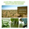 2pcs Gel Aloe Vera Anti-manchas Anti-acne Vitamina E Hidrata