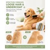 Angootao 3Pcs Natural Boar Bristle Brush Set for Short Haired