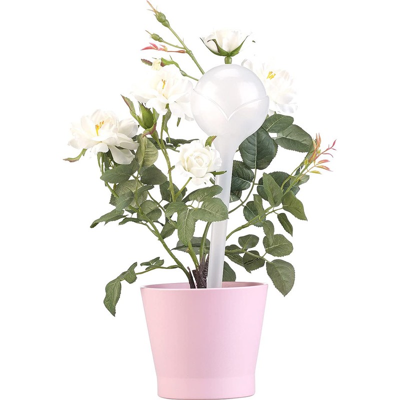 Royal Gardineer Watering Balls: Set of 8 Watering-Free Watering Balls,