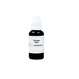 Homeomart.com Plantago Major Homeopathy Dilution 1M, 1 fl oz (30ml)