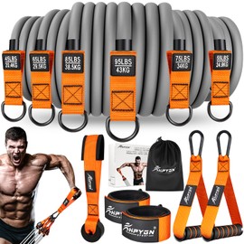 HPYGN Heavy Duty Resistance Bands 420lbs, Resistance Bands with Handles, Door Anchor, Exercise Bands, Resistance Bands Set Men, Home Gym Equipment for Physical Therapy, Muscle Strength Training