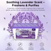 W&E Choice Moisture Absorbers With Lavender Scent, Portable Dehumidifier for