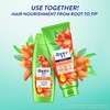Rejoice 3in1 Conditioner Rich Smooth 300ml