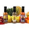 Torchbearer Sauces Shinedown's Taste of Madness Hot Sauce Variety 3