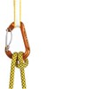 Grivel HMS GVRSK3GH Climbing Climbing Carabiner Plume