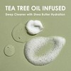 EYEECO Gentle Tea Tree Oil Foaming Facial Cleanser – 6oz