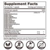 Renewbiome Bacillus - Probiotic with 10 Strains of Bacillus -