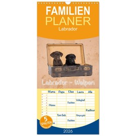Familienplaner 2026 - Labrador - Welpen mit 5 Spalten (Wandkalender, 21 cm x 45 cm), CALVENDO: Wandkalender Labrador - Welpen (CALVENDO Tiere)